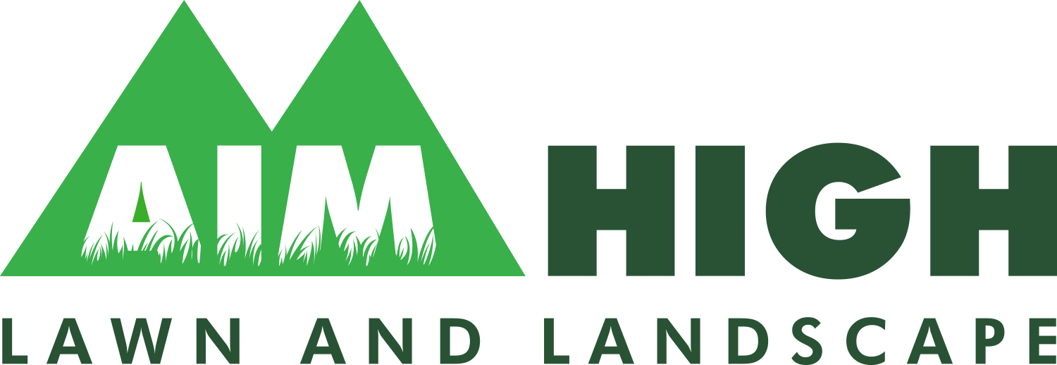 Aim-High-logo-color