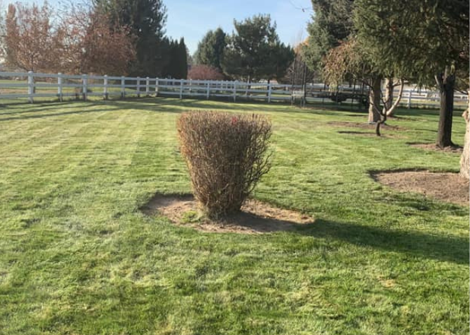 Boise, Kuna, Meridian, Eagle, Nampa Aeration and Thatching