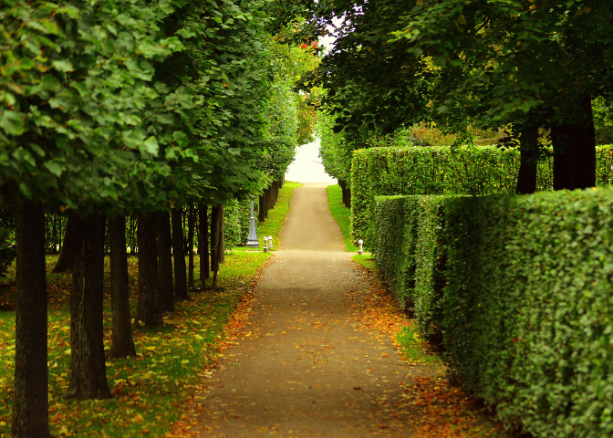 Boise, Kuna, Meridian, Eagle, Nampa Tree Trimming Services 