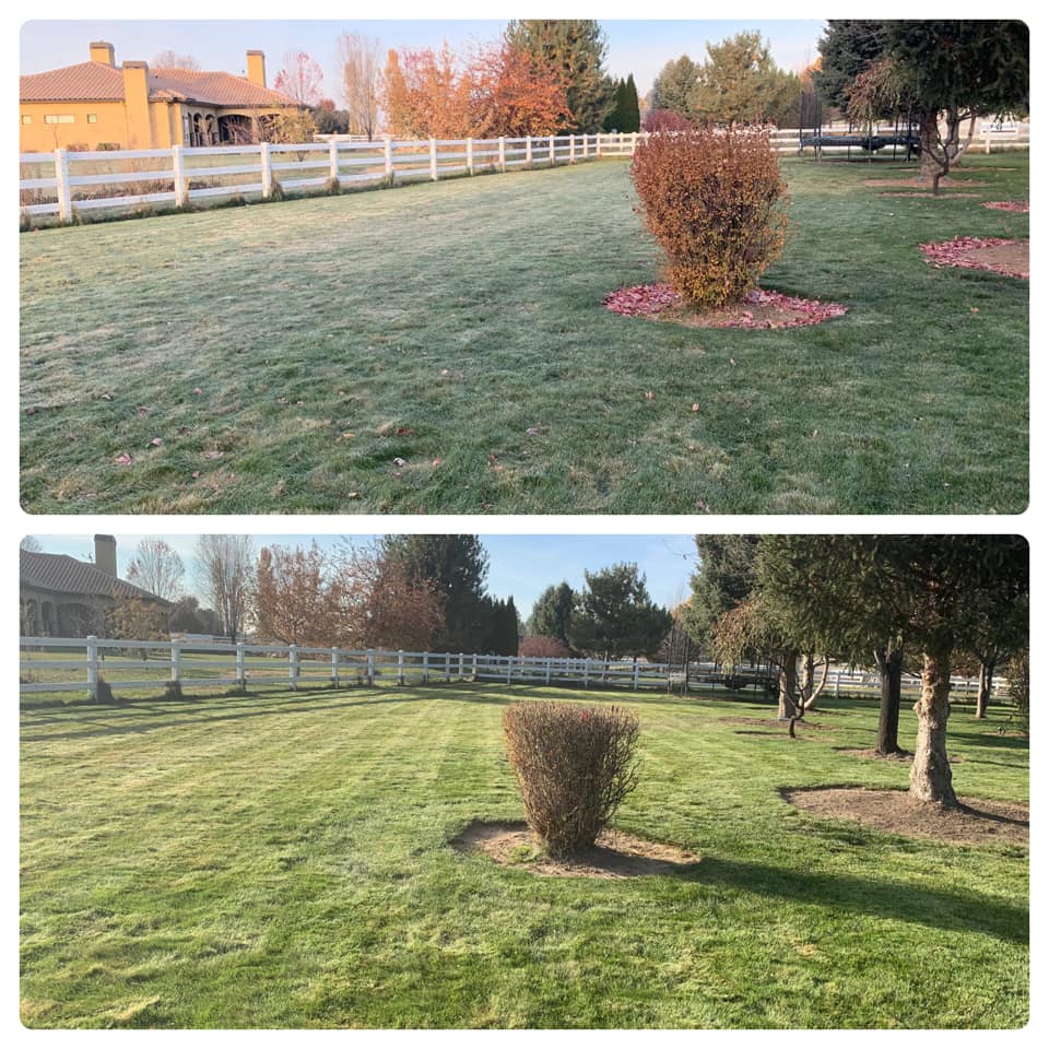 Treasure Valley Aeration and Thatching